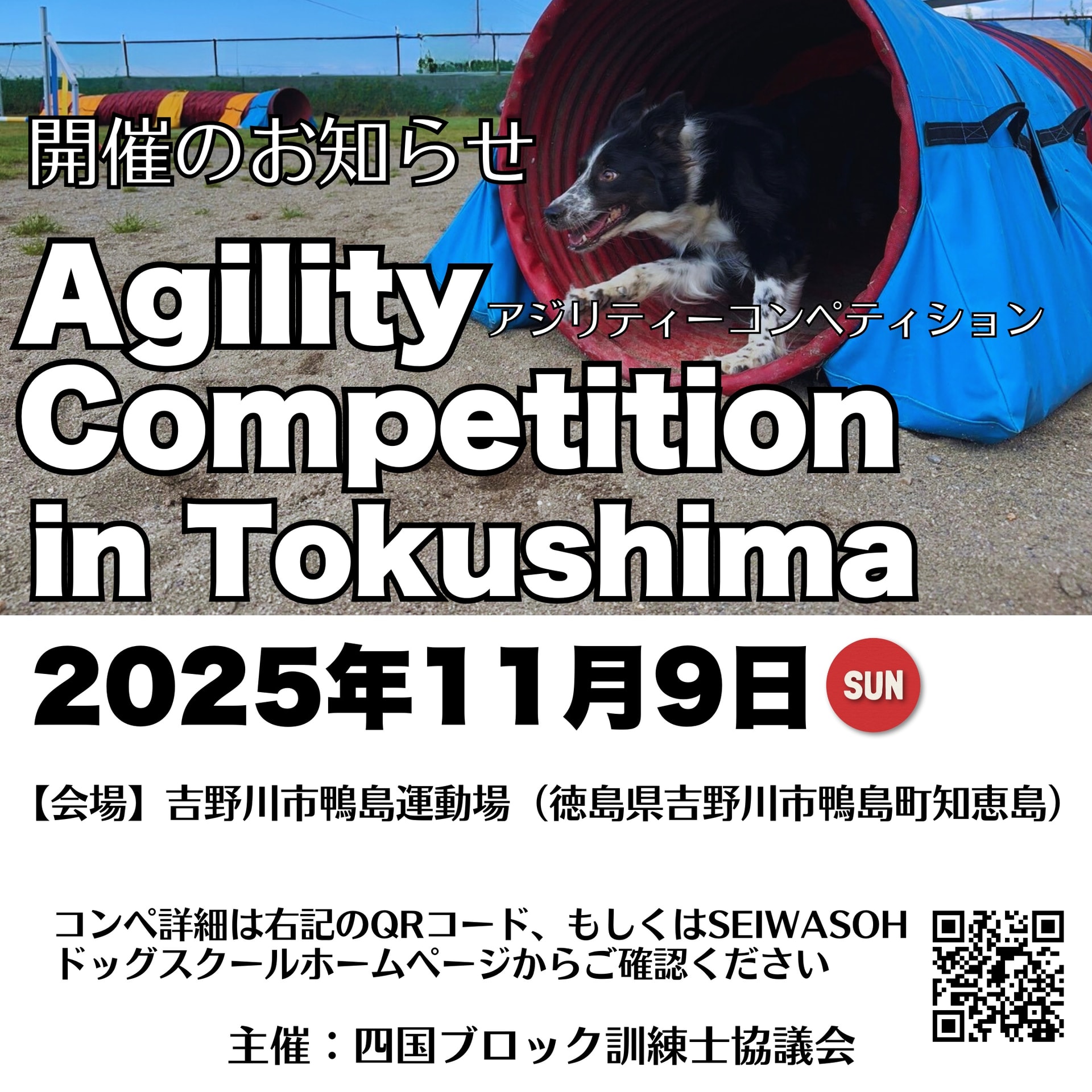 2025年11月9日(日)四国ブロック訓練士協議会アジリティーコンペティション 2025年11月9日(日)四国ブロック訓練士協議会アジリティーコンペティション