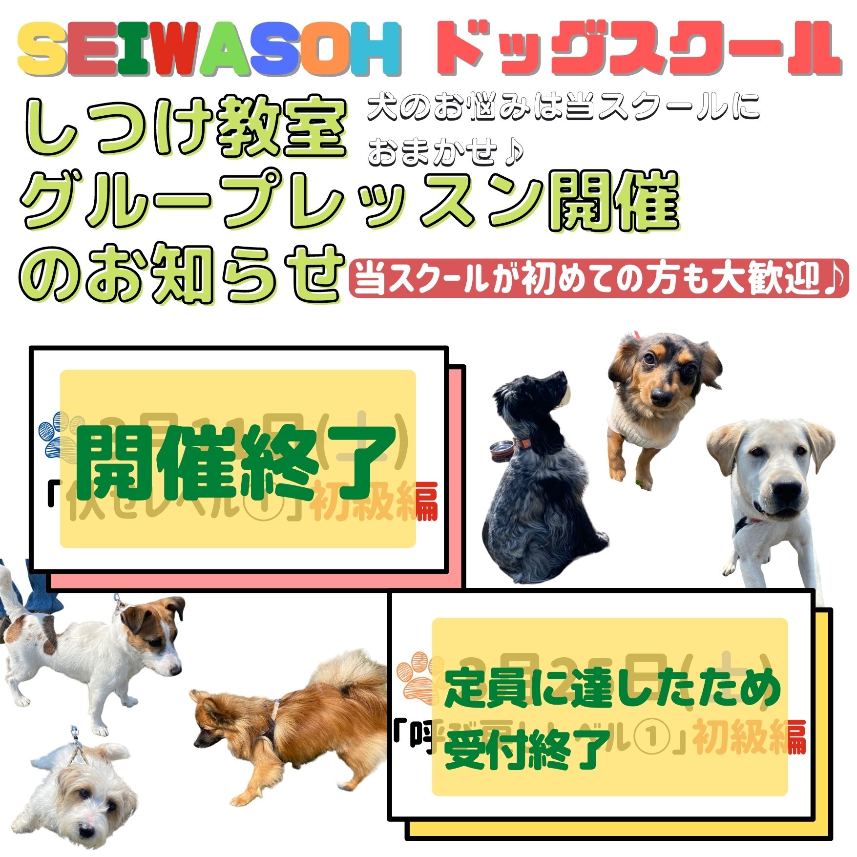 しつけ教室 3月開催グループレッスンは定員のため受付終了いたしました! しつけ教室 3月開催グループレッスンは定員のため受付終了いたしました!