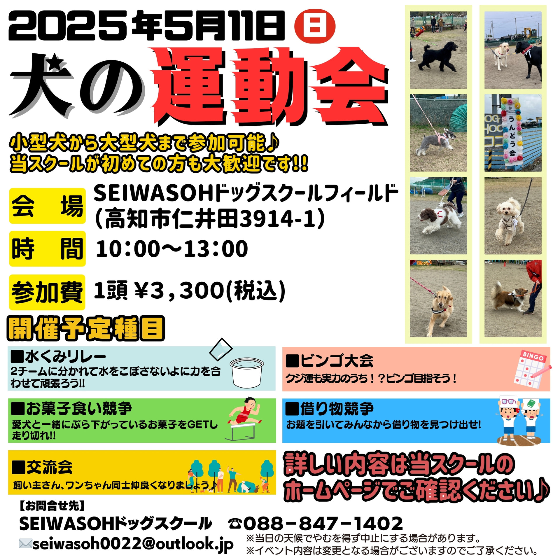 5/11(日)「犬の運動会🐶」開催します🚩😊 5/11(日)「犬の運動会🐶」開催します🚩😊