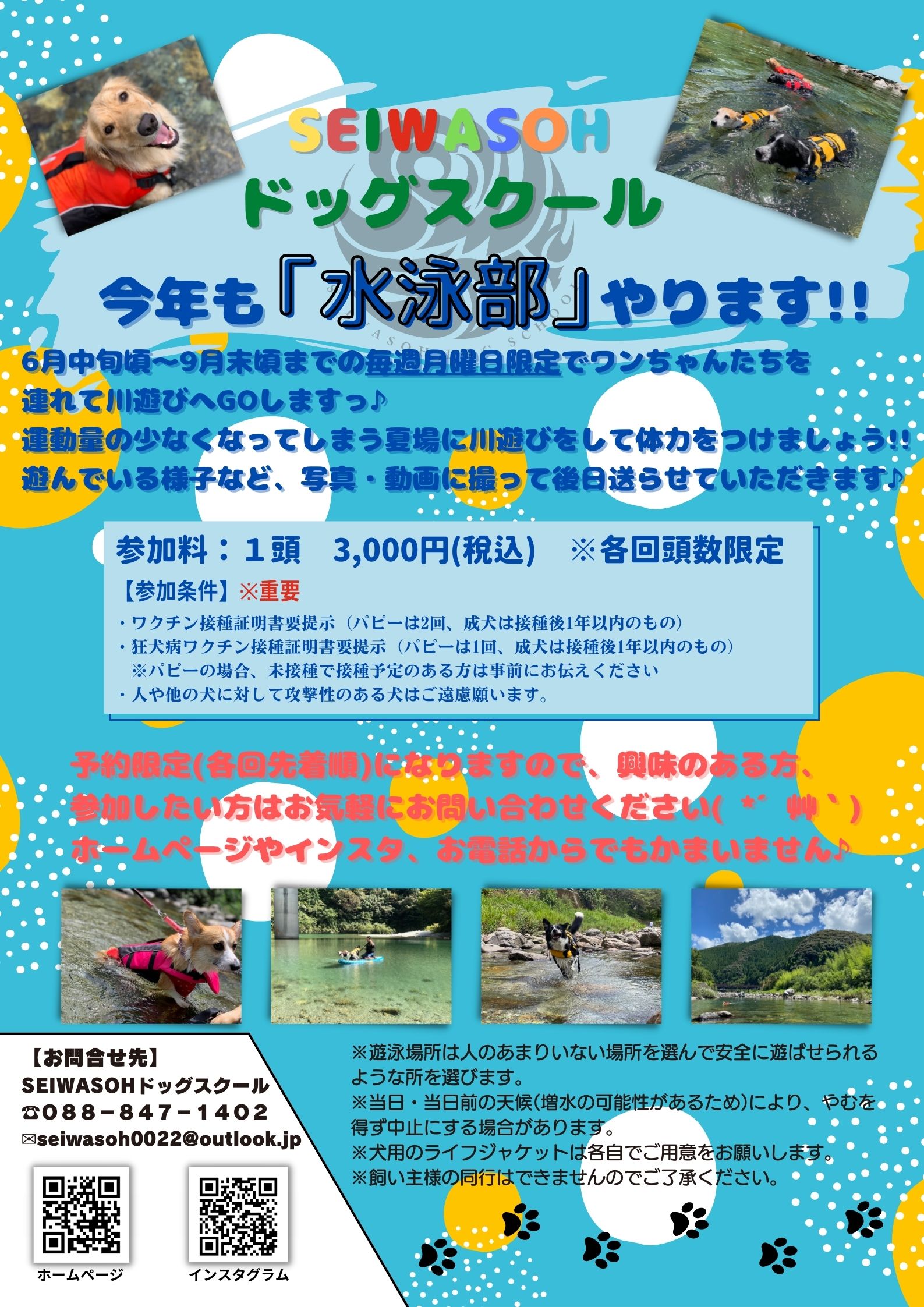 【告知】SEIWASOHドッグスクール水泳部はじめます♪ 【告知】SEIWASOHドッグスクール水泳部はじめます♪