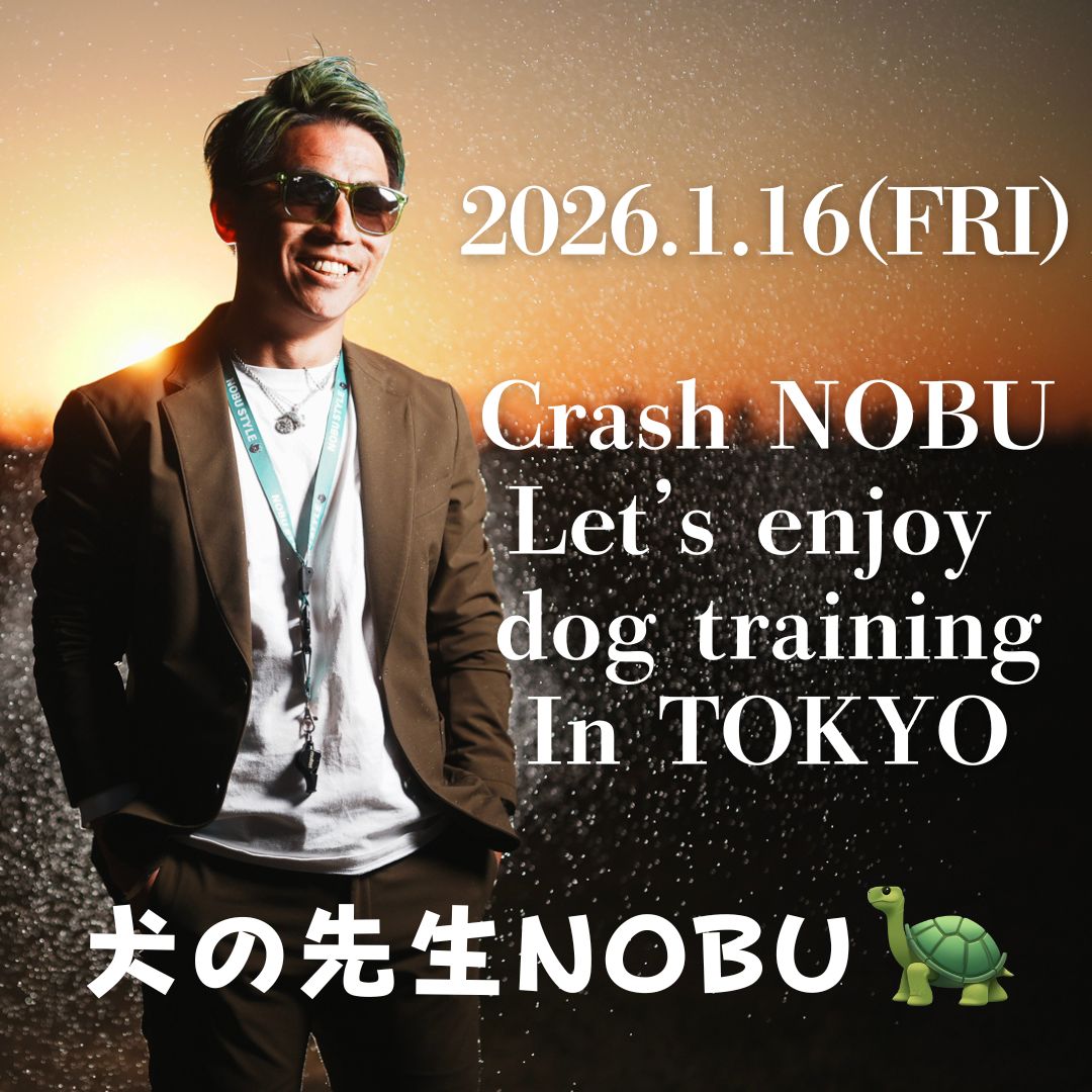 2026年1月16日(金)　TikTokフォロワー限定『Crash NOBU Let’s enjoy dog training In TOKYO』