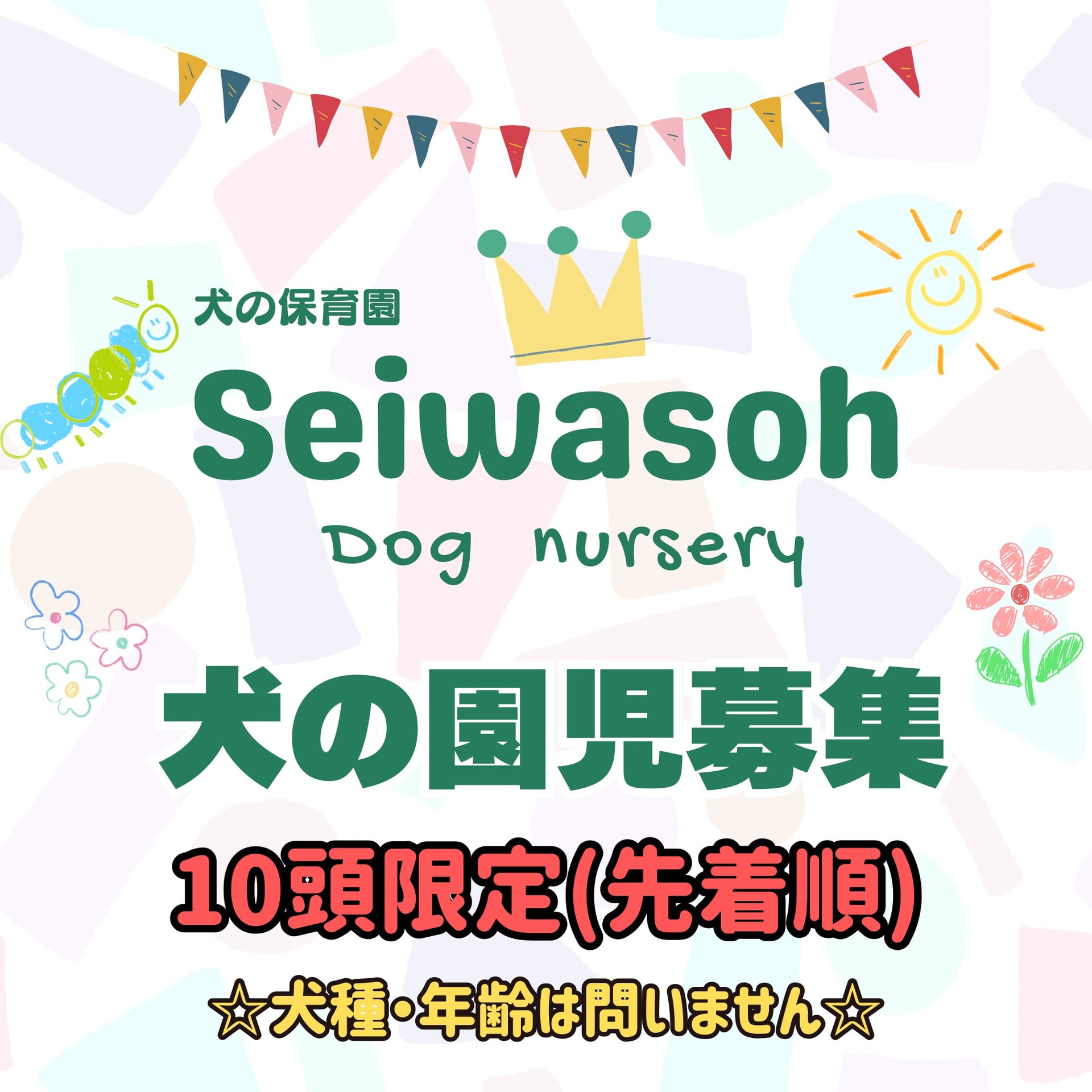 犬の保育園児を新規募集させていただきます🐶 犬の保育園児を新規募集させていただきます🐶