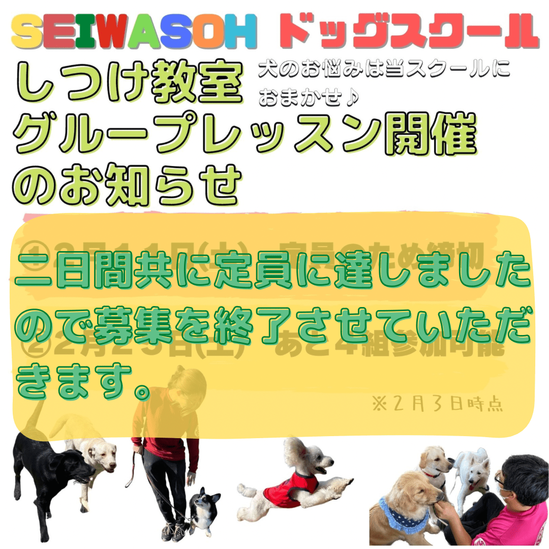 しつけ教室　２月開催グループレッスン定員のため受付終了いたしました！