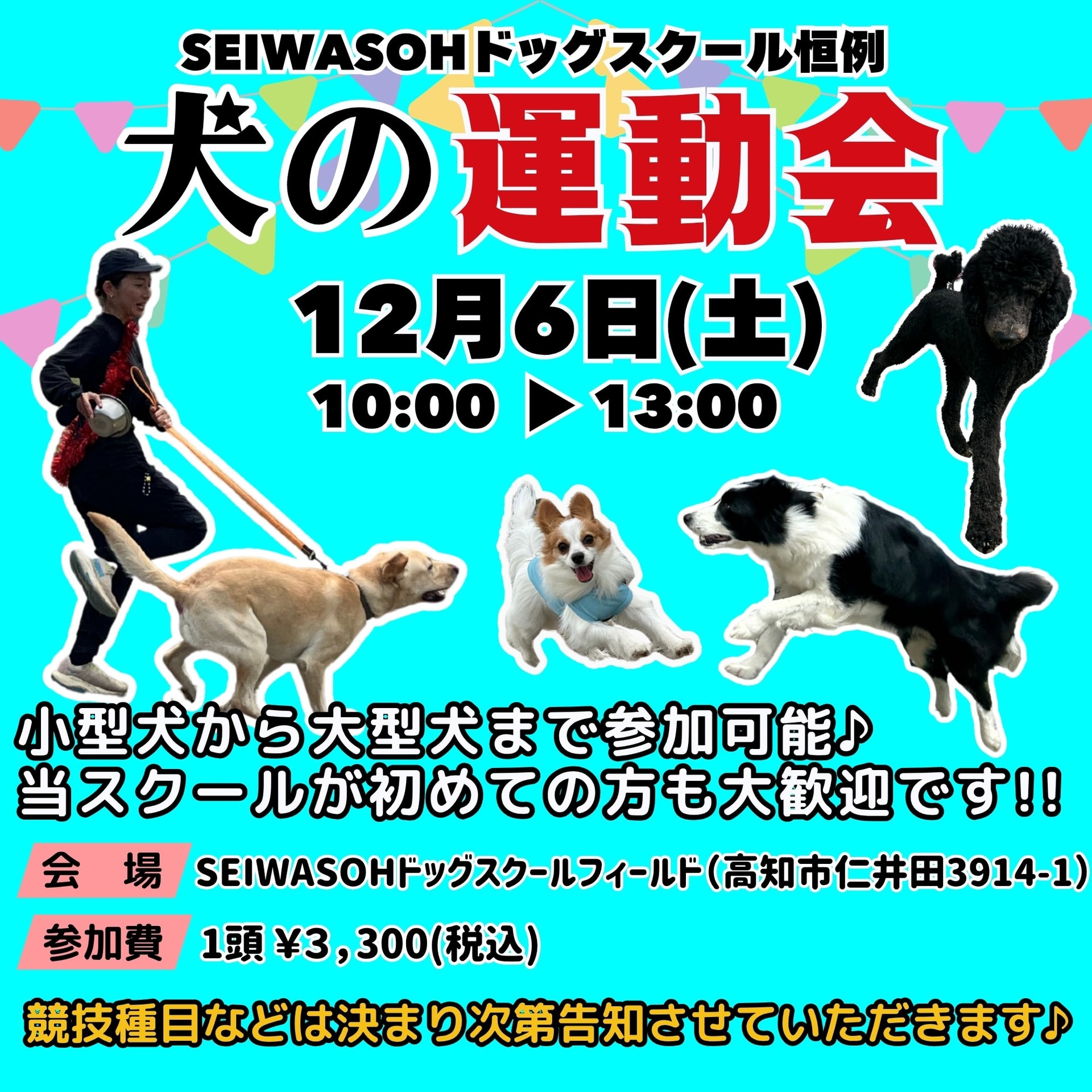 12/6(土)「犬の運動会🐶」開催します🚩😊 12/6(土)「犬の運動会🐶」開催します🚩😊