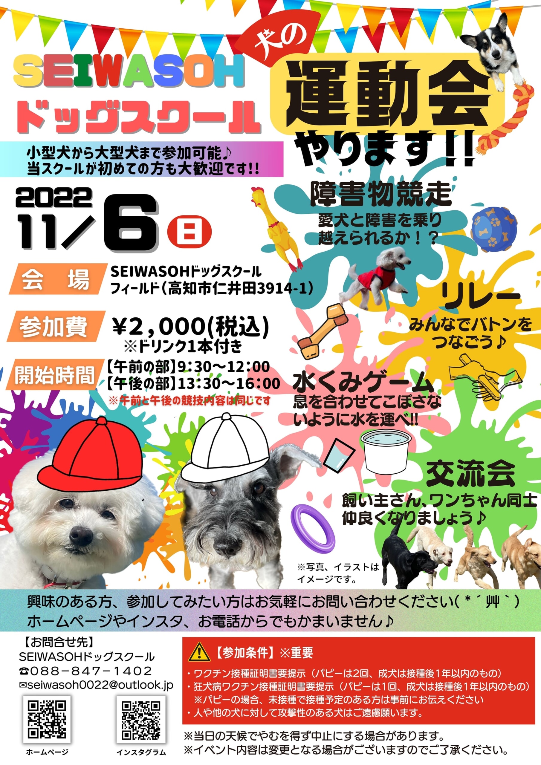 【告知】SEIWASOHドッグスクール「犬の運動会」開催します🚩😊