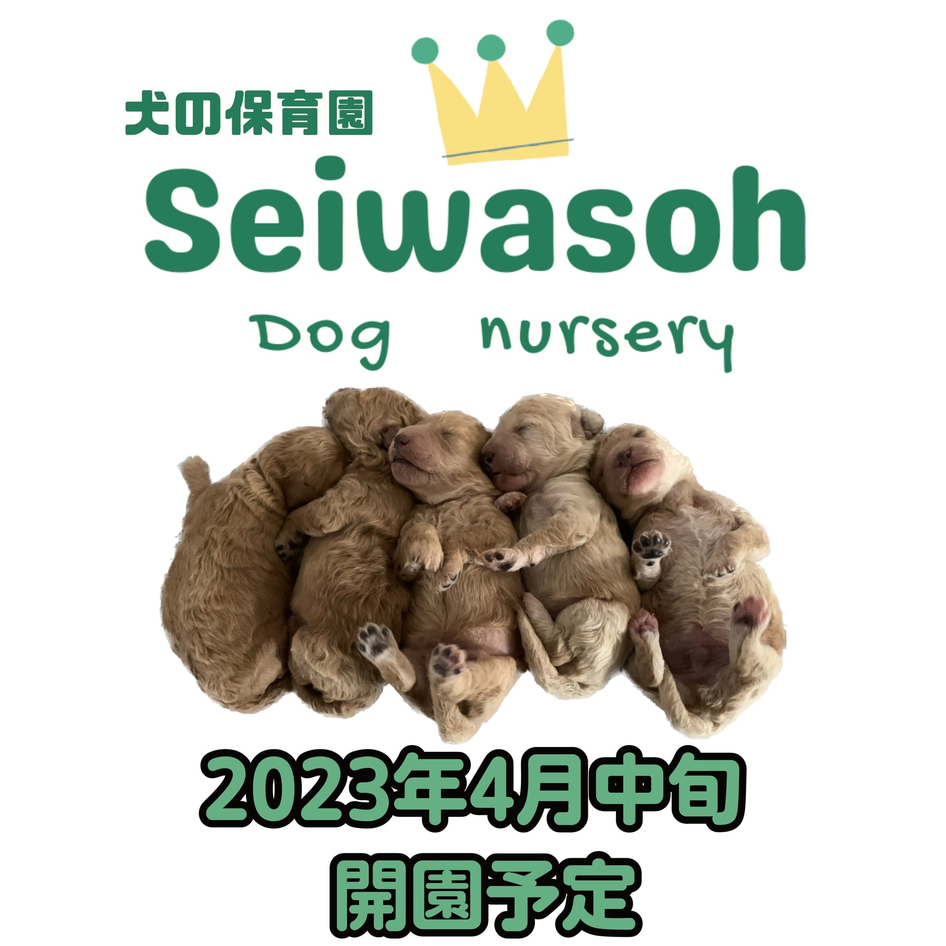 『犬の保育園 Seiwasoh dog nursery』2023年4月中旬開園予定 『犬の保育園 Seiwasoh dog nursery』2023年4月中旬開園予定